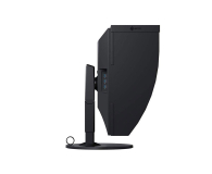 Eizo ColorEdge CG319X-BK 4K - 449171 - zdjęcie 6